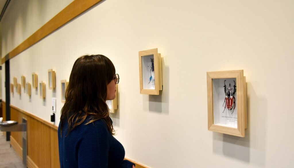 Patron looking at images in Top Shelf Gallery exhibit